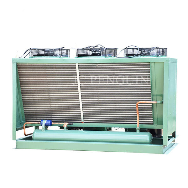 The importance of regular maintenance for cold room refrigeration units