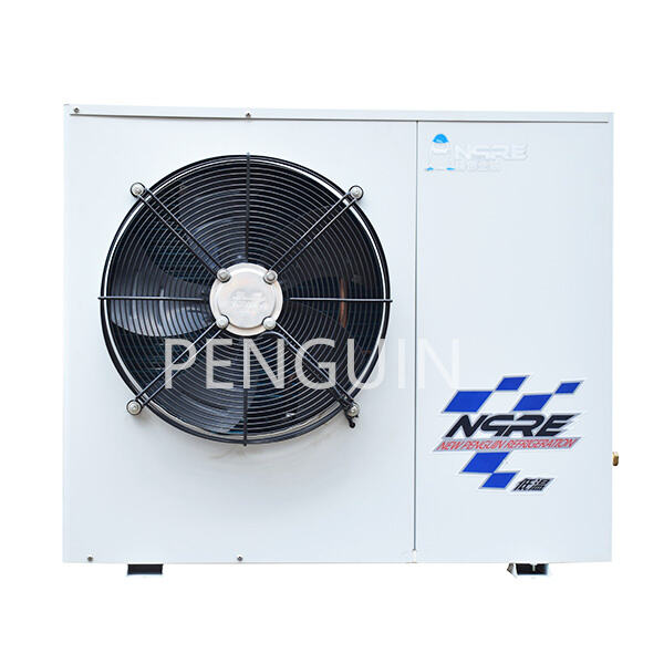 Why a box-type condensing unit is a convenient option for quick and simple setup.
