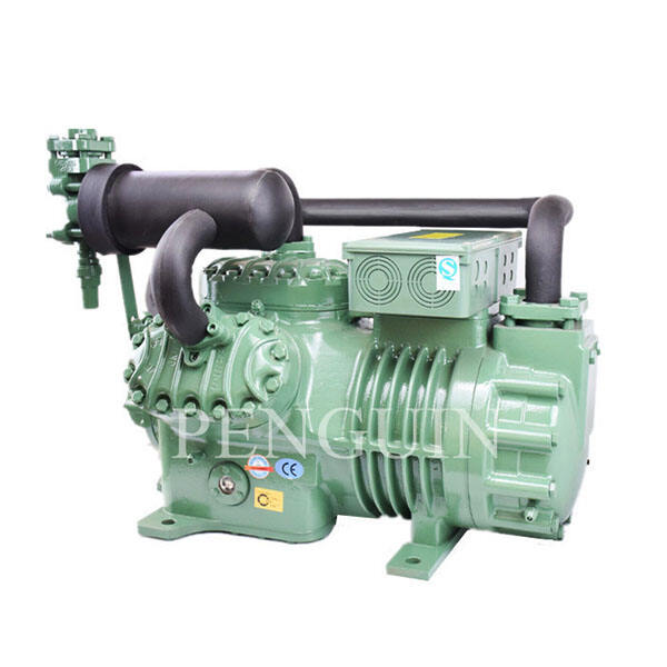 Provider and Quality of Compressor 30HP