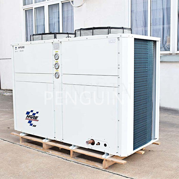 Safety of a Condensing Unit Cold Room