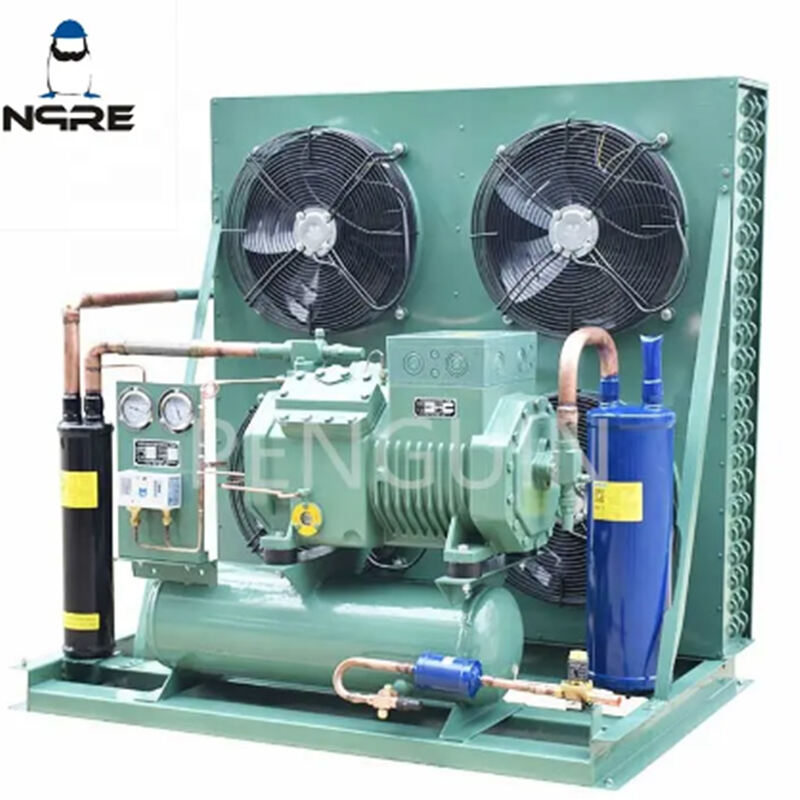 3hp 4hp 5hp 6hp 7.5hp 10hp 12hp 20hp Refrigeration Condenser Unit Air Cooled Freezer Condensing Freezing Units For Cold Room