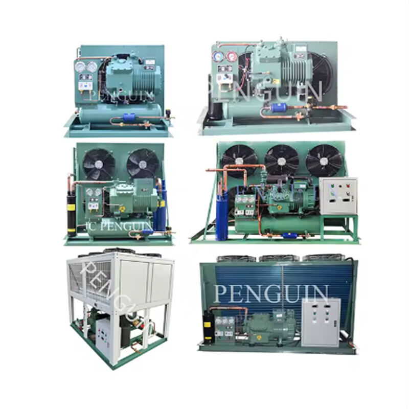 Wholesale Price 5hp 10hp 15hp 20hp 30hp 50hp 15hp R404a Refrigeration Condensing Unit For Cold Room Storage