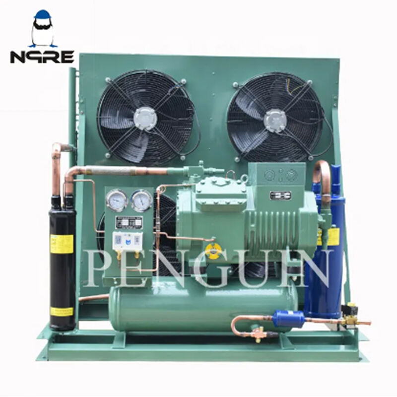 4NES-14Y-20D 4NCS-12.2(Y) 4TES-12Y-40P 12HP CQC Kühlraum-Luftkühlungs-Kühlkompressoreinheit 4TCS-12.2(Y)