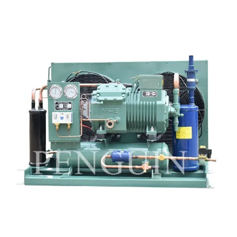 Commercial 6.5HP 4CC6.2 4CES6(Y) Air Cold Refrigeration Compressor Unit With Tube Fin For Fish Vegetables Meet Frozen