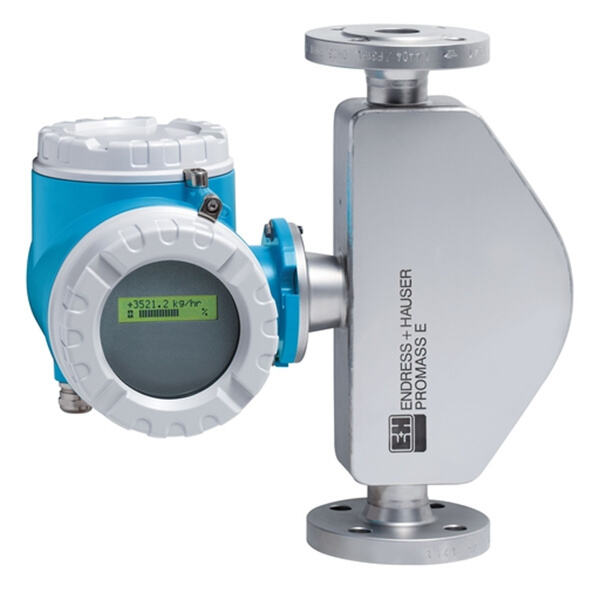 Maximizing efficiency with Endress Hauser flowmeter solutions