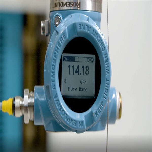 Maximizing Operational Efficiency with Emerson Rosemoun