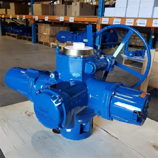 How the Limitorque MX Actuator Enhances Control and Efficiency in Valve Operation