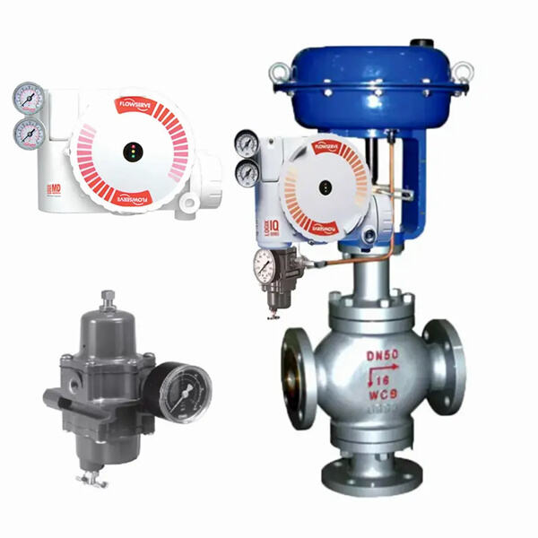 Ensuring Safety and Performance with Flowserve Control Valves