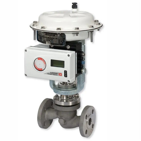 Customizing Flowserve Control Valves to Your Needs