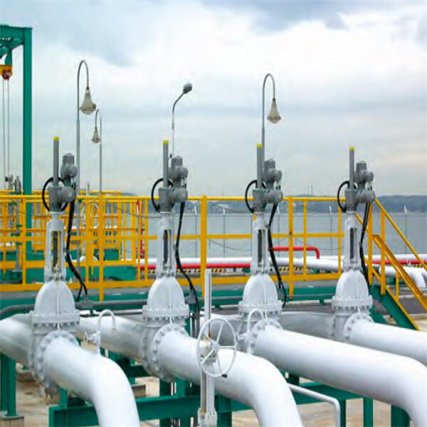 Efficient Industrial Operations with AUMA Electric Actuators