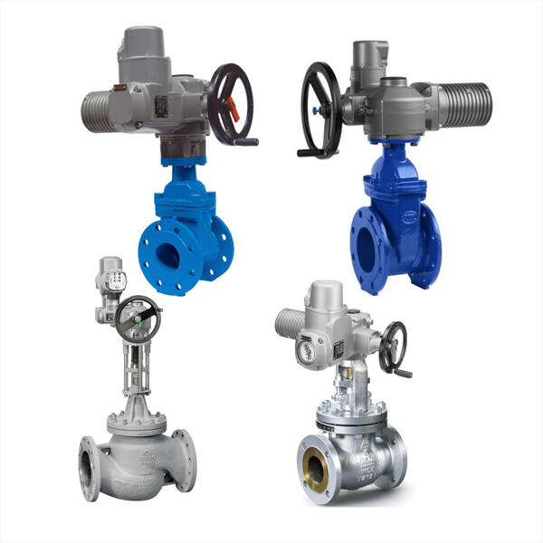 A Closer Look at the Auma Valve