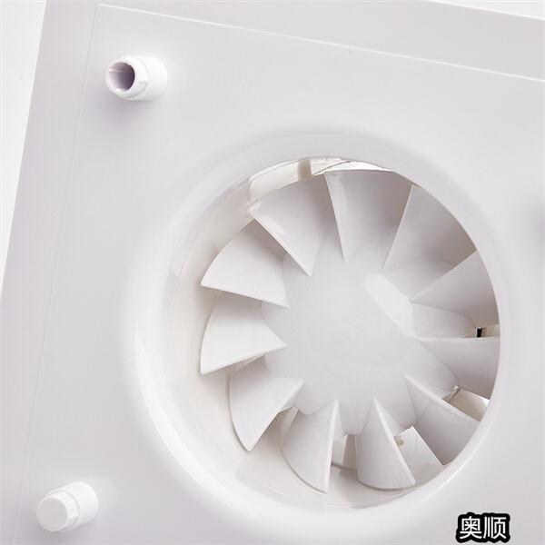 Safety in External Bathroom Exhaust Fans