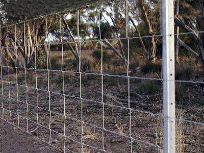 Australian Farm Fence Steel Y Post / Star Picket manufacture