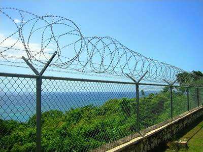 Pvc Coated/Galvanized Chain Link Fence With Good Quality details