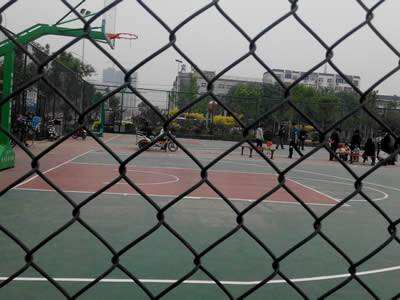 Pvc Coated/Galvanized Chain Link Fence With Good Quality supplier