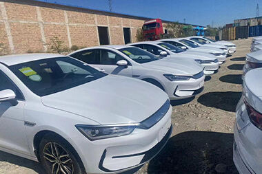 100 units of BYD TO Armenia