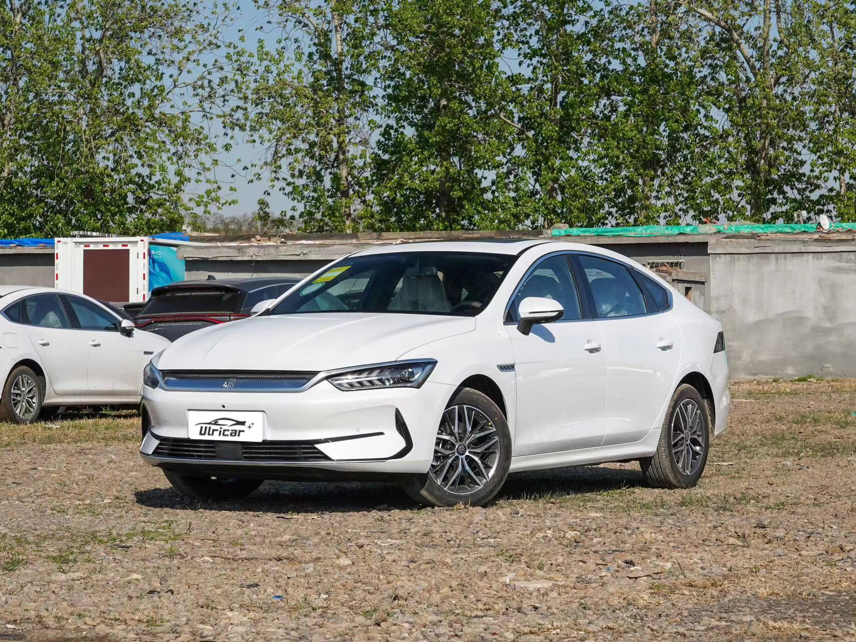 BYD Qin Plus EV Champion  510KM Beyond