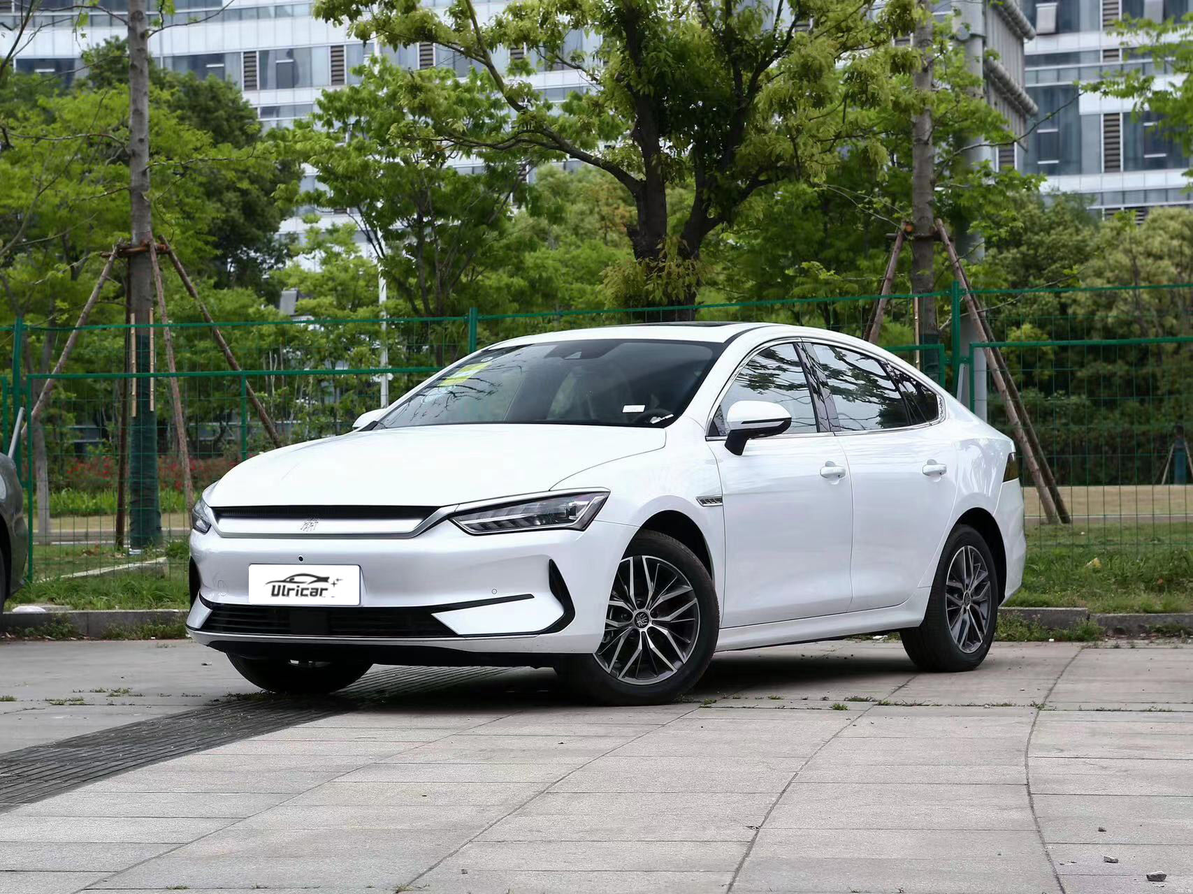 BYD Qin Plus EV Champion  510KM Excellence