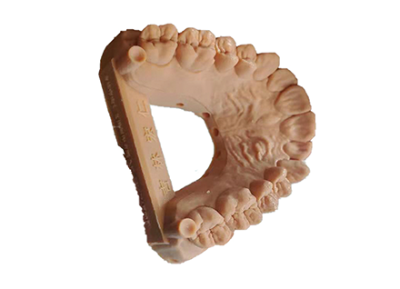 3D Dental Models