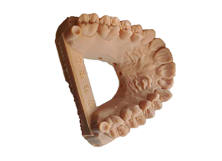 3D Dental Models