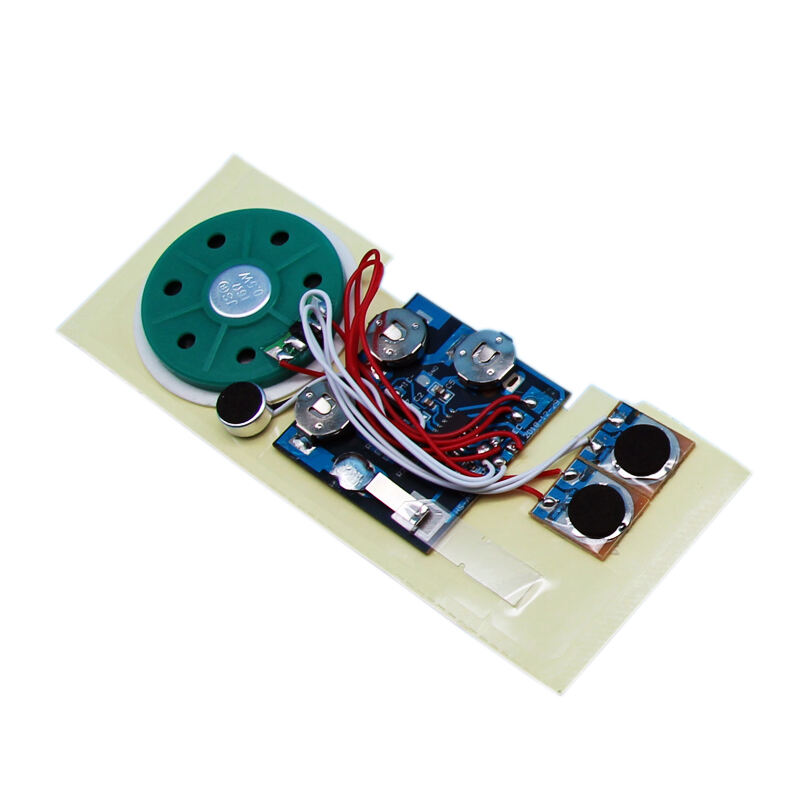 Recordable Sound Module