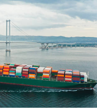 Explore the World of International Cargo Shipping with MLH Logistics