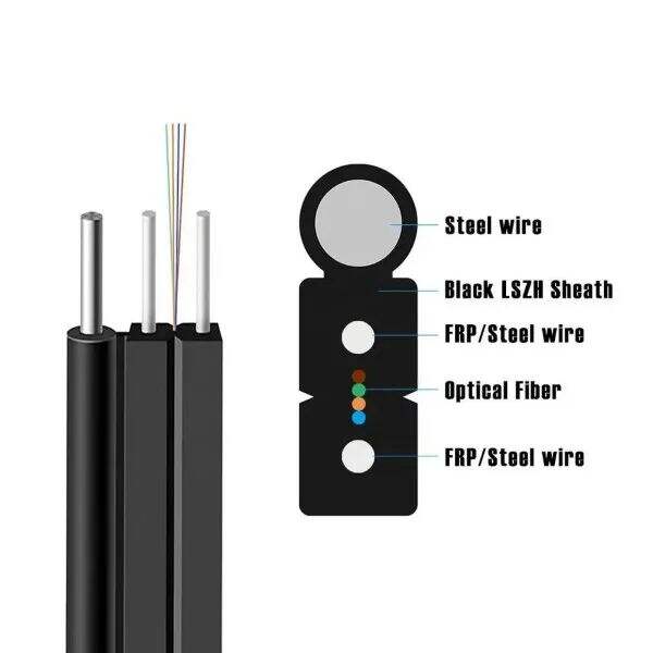 Use of Fiber Optic 2 Core