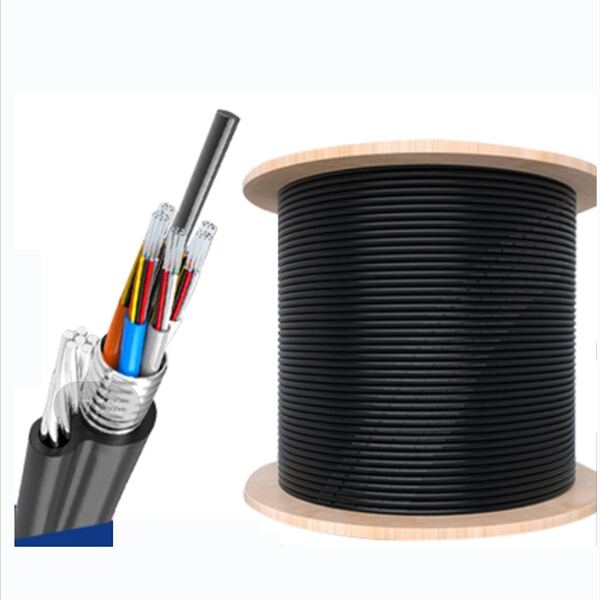 Protection of Fiber Coaxial Cable