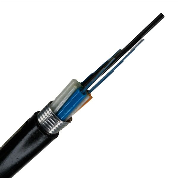 Protection of 2Core Fiber Optic Cable: