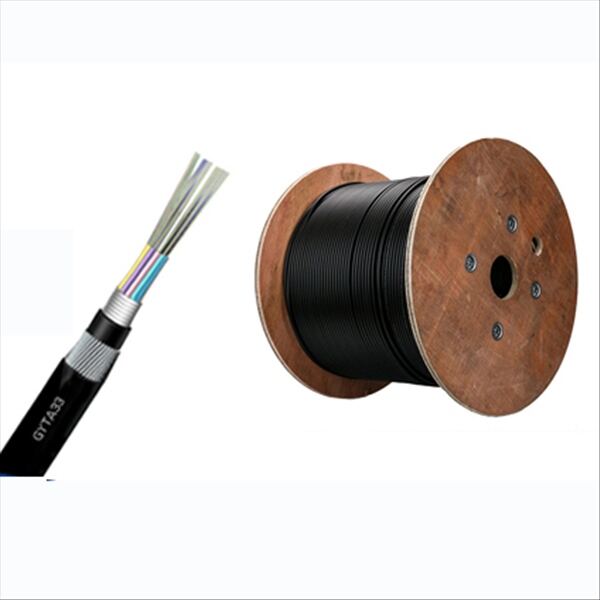 Use of 2Core Fiber Optic Cable: