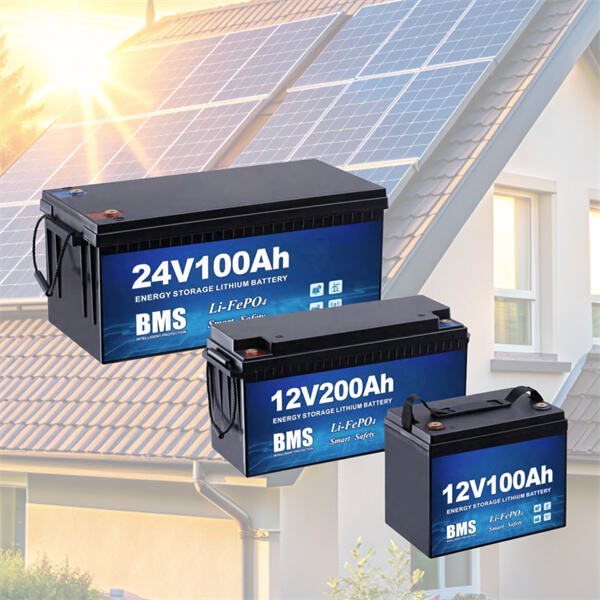 L'importance d'un entretien adéquat pour les batteries solaires 24 V