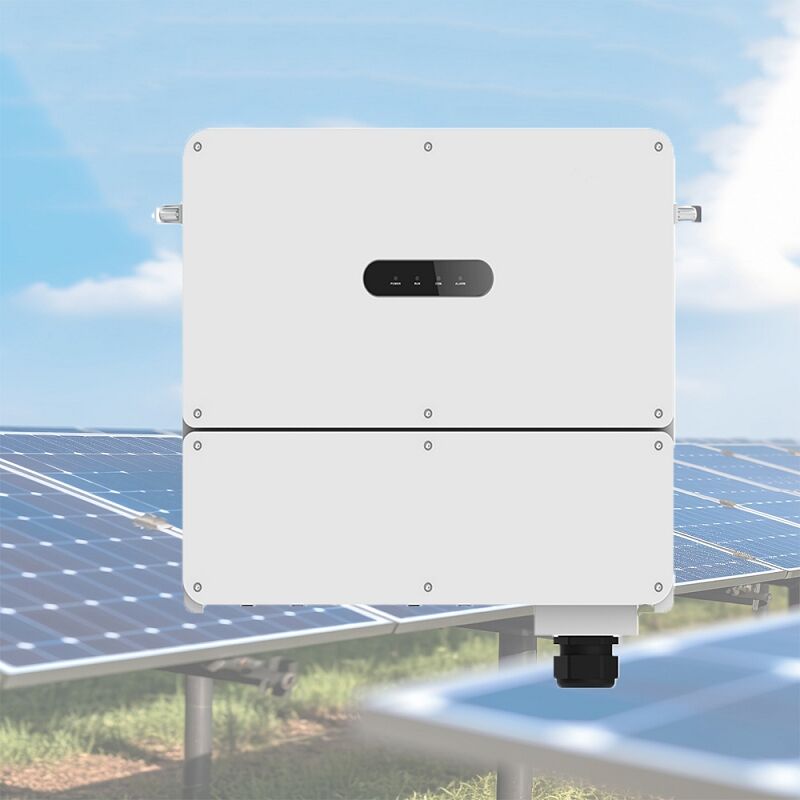 حماية البيئة