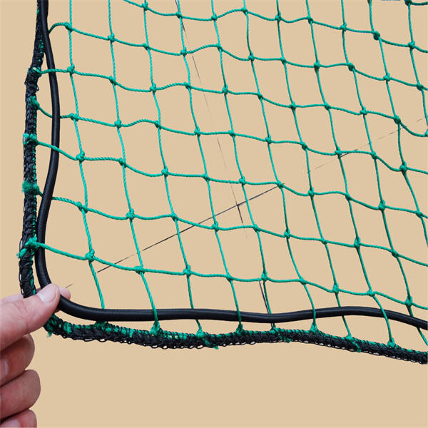 Trusted Freight Services with Net for Carg