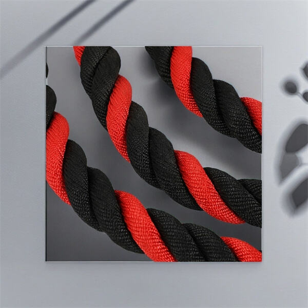 Ramp up Your Routine with 15m Battle Ropes u2013 Perfect for Any Fitness Level