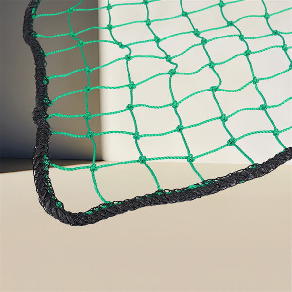 The Ultimate Backyard Cargo Ne