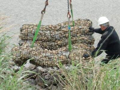 Túi gỗ bulk giúp tối ưu hóa hậu cần lâm nghiệp như thế nào