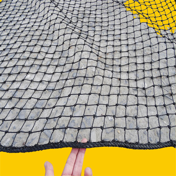 Affordable alternative to traditional fencing options