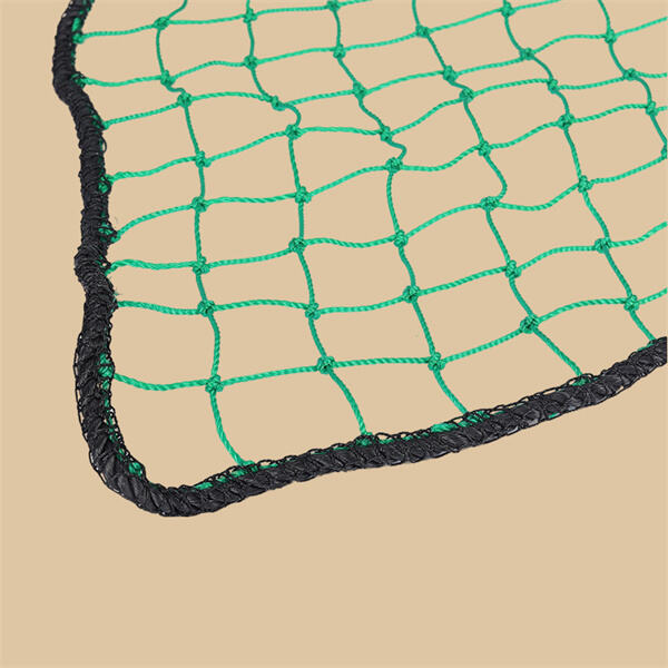 Secure and Reliable Cargo Transportation with Net for Carg