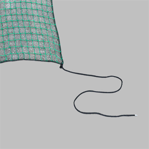Container Net for versatile cargo transpor