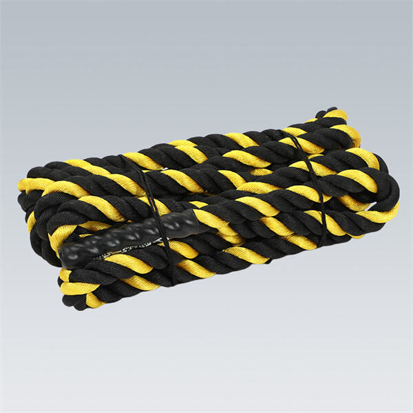 Pagbutihin ang Iyong Kabuuan na Kalusugan at Kaisipan gamit ang Epektibong Routine ng Pagsasanay sa Bahay, Na Kinakatawan ng Workout Ropes.