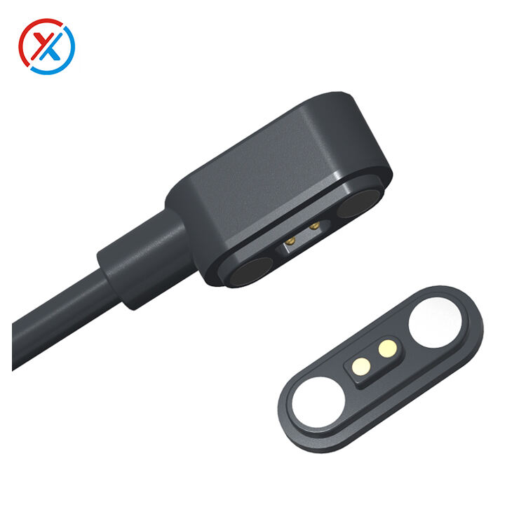2Pin Magnetic Cable