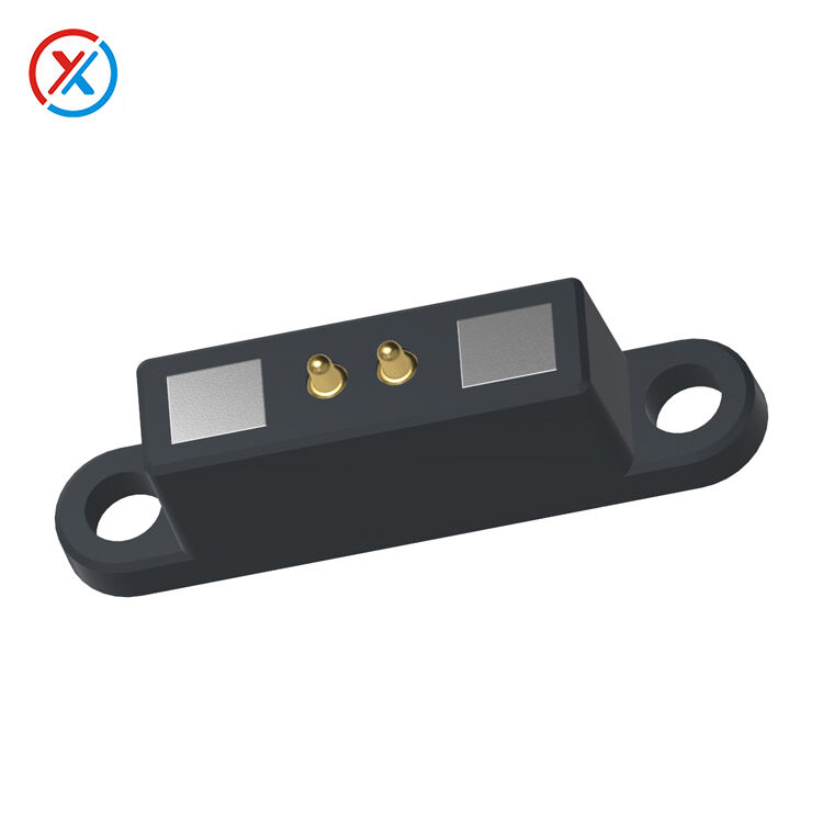 connessione magnetica a 2 pin