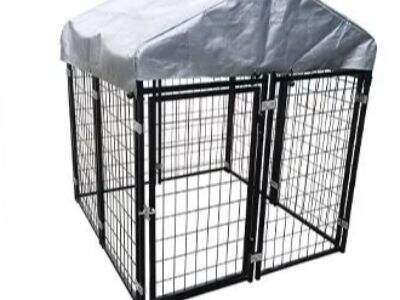 How to choose the best Dog Kennel