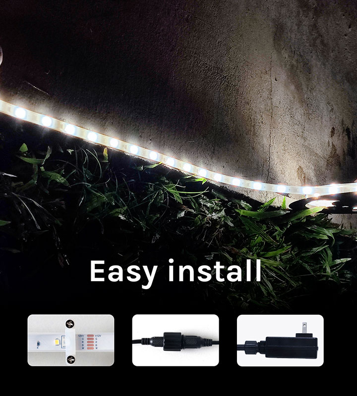 magical musical holiday light show Festive Brilliance for Every