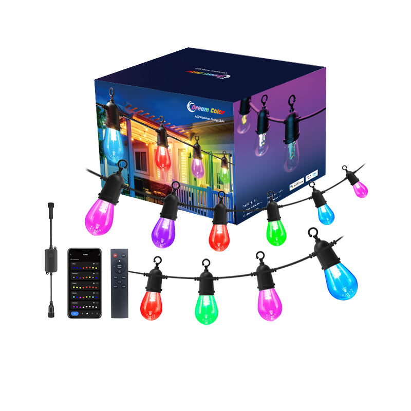 WiFi+RF RGBW+IC Dream Color Festoon Lighting Kit