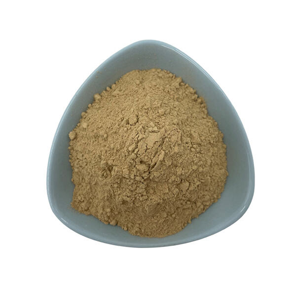 Usage of Sodium Bentonite Powder