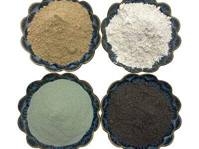 The Benefits of Diatomaceous Earth in Organic Gardening