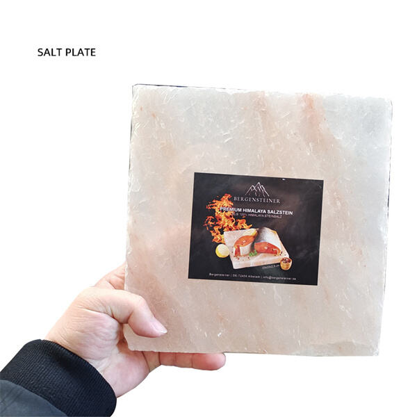 Provider and Great Himalayan Sea-salt Slab