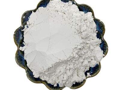 Diatomaceous Earth for Pets: A Natural Flea and Tick Remedy