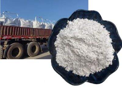 Bakit Ang Sepiolite ay Mainam para sa mga Enzyme at Catalyst Carrier?